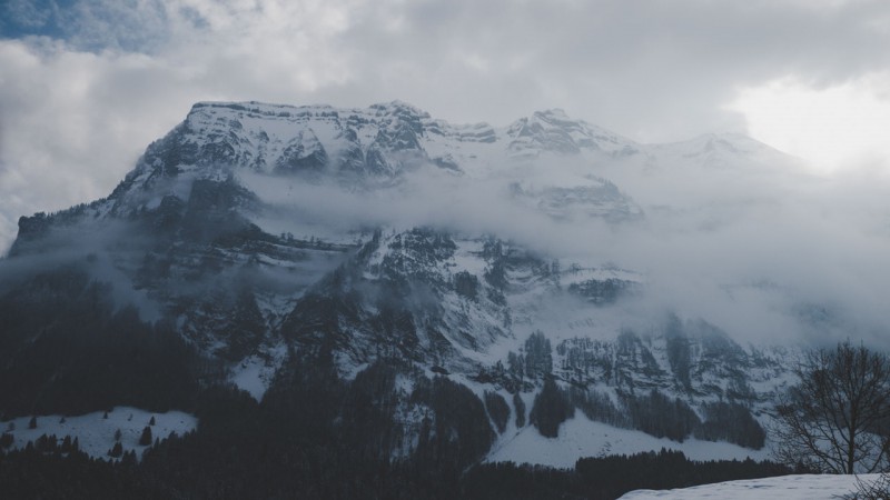 save the everest
